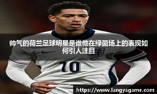 帅气的荷兰足球明星是谁他在绿茵场上的表现如何引人注目